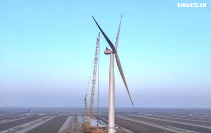 1月11日，全球最大功率等級(jí)的漂浮式風(fēng)電機(jī)組——中國(guó)中車(chē)“啟航號(hào)”在山東東營(yíng)風(fēng)電裝備測(cè)試認(rèn)證創(chuàng)新基地吊裝成功，標(biāo)志著我國(guó)在海上超大型風(fēng)機(jī)的探索邁出重要一步。該項(xiàng)目風(fēng)電機(jī)組的配套塔筒是全球直徑最大、重量最重的塔筒型號(hào)，所用鋼板由河鋼集團(tuán)舞鋼公司獨(dú)家提供。  微信圖片_20250220083217.jpg  舞鋼公司深入貫徹集團(tuán)要求，以客戶需求為導(dǎo)向，大力開(kāi)展技術(shù)營(yíng)銷(xiāo)，不斷優(yōu)化營(yíng)銷(xiāo)方案，通過(guò)提供“一攬子”解決方案，滿足高端客戶對(duì)高品質(zhì)產(chǎn)品和未來(lái)發(fā)展的需求，加速由生產(chǎn)型向“制造+服務(wù)”型企業(yè)轉(zhuǎn)變。該項(xiàng)目對(duì)產(chǎn)品抗沖擊性能及表面質(zhì)量有著極為嚴(yán)苛的要求，且交貨期較短，生產(chǎn)難度相當(dāng)大。為確保合同順利交付，舞鋼公司產(chǎn)線各單位協(xié)同聯(lián)動(dòng)，強(qiáng)化工藝和生產(chǎn)過(guò)程控制，攻克了高強(qiáng)度與高延伸率匹配、低溫沖擊韌性匹配等一系列技術(shù)難題，確保了產(chǎn)品各項(xiàng)指標(biāo)全部滿足客戶要求，并按期交付客戶。  微信圖片_20250220083224.jpg  “啟航號(hào)”20MW漂浮式海上風(fēng)電塔筒是專門(mén)為20MW及以上海上漂浮式風(fēng)機(jī)提供系統(tǒng)解決方案而設(shè)計(jì)的，是全球最大功率漂浮式風(fēng)電機(jī)組的配套塔筒，總高度為141.15米，最大直徑12米，重量達(dá)到了1576噸。